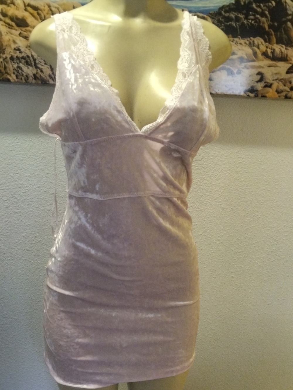Free People Soft Blush Velvet Lace-Trim Slip Dress